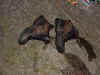 boots.jpg (96631 bytes)
